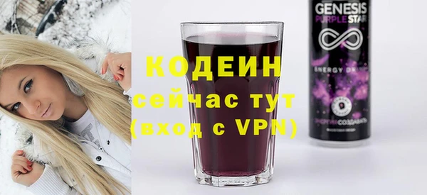 винт Каменка