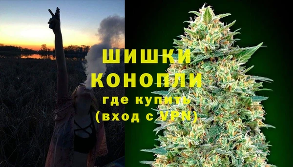 винт Каменка