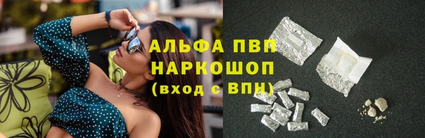 винт Каменка